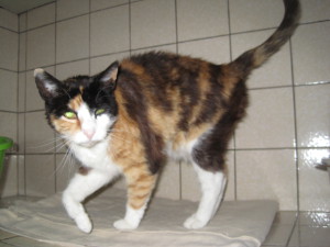 IMG_5334minni-klein