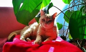 IMG_0019
