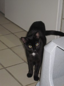 IMG_6273frieda