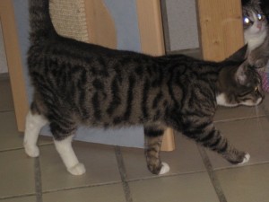 IMG_6290cora