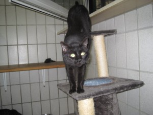 IMG_6298unbekannt
