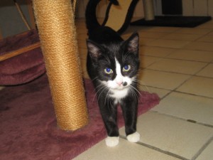 IMG_6358Louis