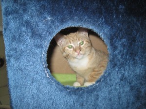 IMG_6369Cisco