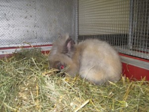 IMG_6493 (Andere)