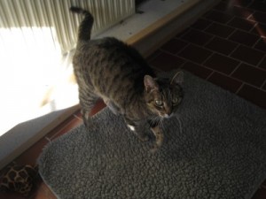 IMG_6506 (Andere)