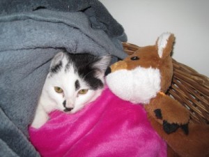 IMG_6527 (Andere) Mira