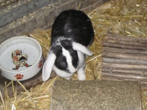 IMG_6570 (Andere)