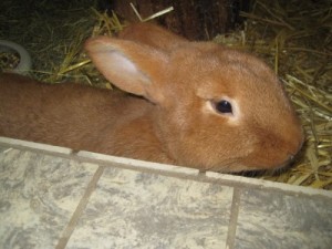 IMG_6577 (Andere)