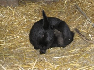 IMG_6584 (Andere)