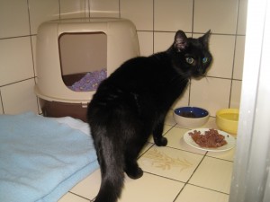 IMG_6636 Tiffi Krefeld (Andere)