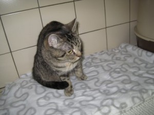 IMG_6684 (Andere)