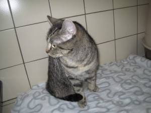 IMG_6685 (Andere)