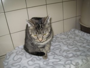 IMG_6687 (Andere)