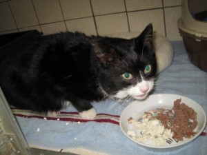 IMG_6689 (Andere)