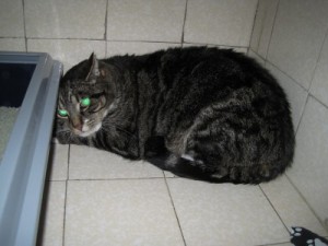 IMG_6708 Sido (Andere)