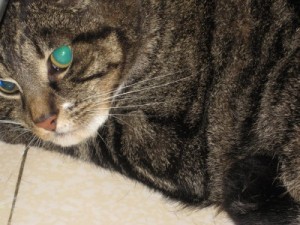 IMG_6709 (Andere)
