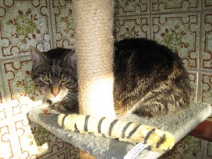 IMG_6712 Sido (Andere)