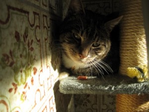 IMG_6715 (Andere)