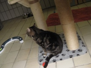 IMG_6721 (Andere)