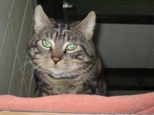 IMG_6723 Mecki (Andere)