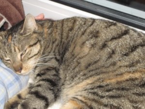 IMG_6746 (Andere)