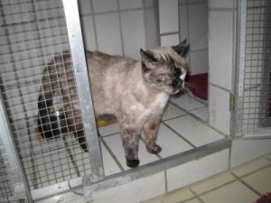 IMG_6787 (Andere)layla