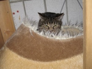 IMG_6837sunny (Andere)