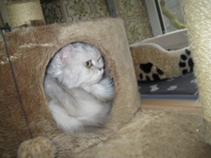 IMG_6896 (Andere)Liese