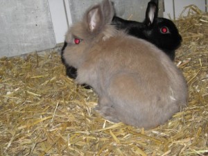 IMG_6910 (Andere) Justus