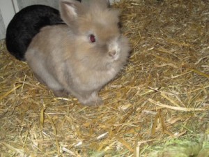 IMG_6912 (Andere) Justus