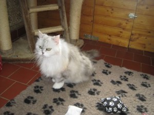 IMG_6921 (Andere)