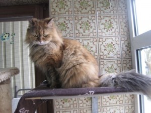 IMG_6947 (Andere)