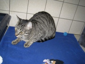 IMG_6950 (Andere)