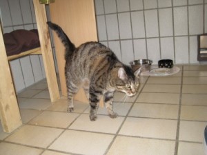IMG_6963Sunny (Andere)
