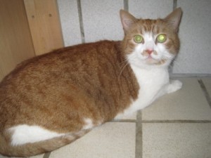 IMG_6975Jani (Andere)