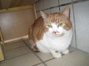 IMG_6976 (Andere)