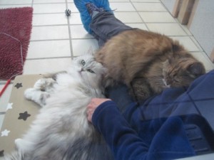 IMG_6986Liese und Lotte (Andere)