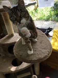 bruno3 (Andere)