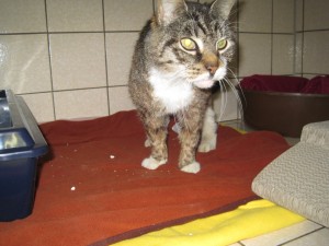 IMG_7064 Bruno (Andere)