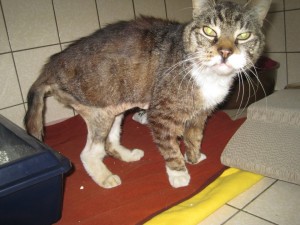 IMG_7065 Bruno (Andere)