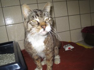 IMG_7067 (Andere)