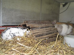 IMG_7091 (Andere)