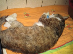IMG_7103 (Andere)