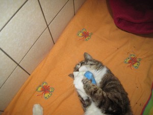 IMG_7108 (Andere)