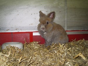 IMG_7126 (Andere)Justus