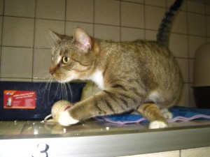 IMG_7136 (Andere)