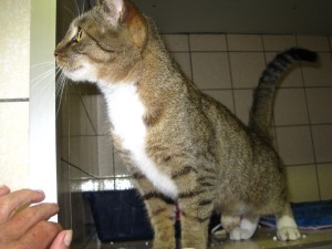 IMG_7137 (Andere)