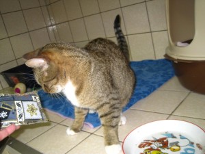 IMG_7144 (Andere)