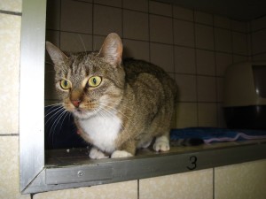 IMG_7150 (Andere)