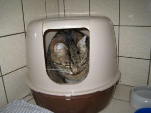 IMG_7294 (Andere)Max